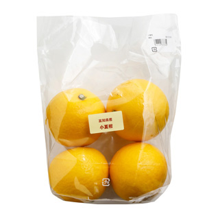 小夏柑　6個入　（高知県産他）