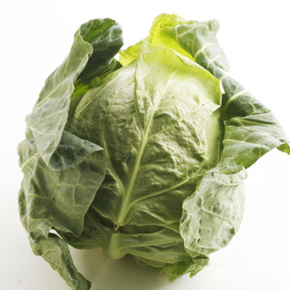 春キャベツ　1玉 （神奈川県産　他）