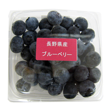 国産ブルーベリー　100ｇ（静岡県産他）