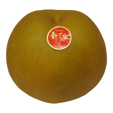 新甘泉　1個（鳥取県産）